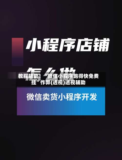 教程辅助！“微信小程序跑得快免费挂”作弊(透视)透视辅助-第1张图片
