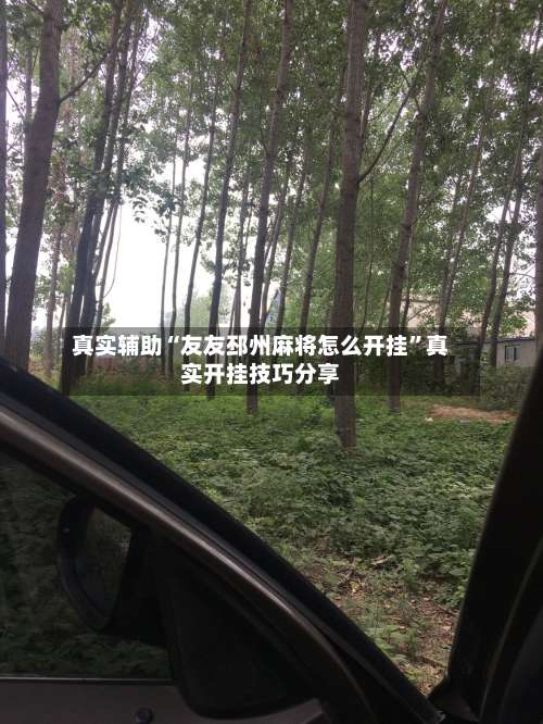 真实辅助“友友邳州麻将怎么开挂”真实开挂技巧分享-第2张图片