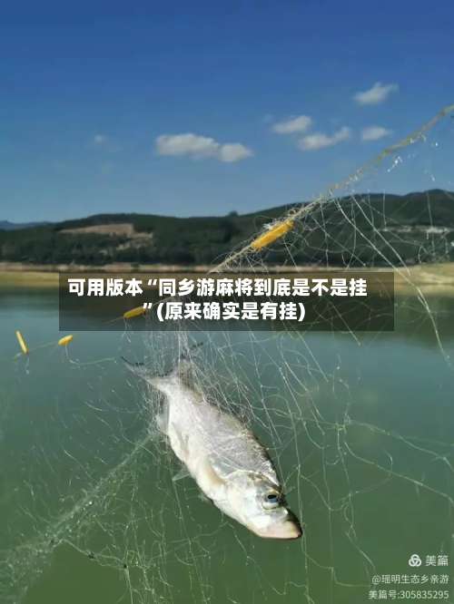 可用版本“同乡游麻将到底是不是挂”(原来确实是有挂)-第1张图片