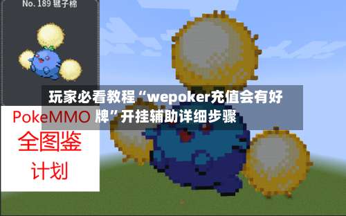 玩家必看教程“wepoker充值会有好牌”开挂辅助详细步骤-第3张图片