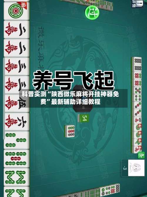 科普实测“陕西微乐麻将开挂神器免费	”最新辅助详细教程-第1张图片