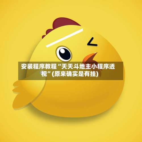 安装程序教程“天天斗地主小程序透视”(原来确实是有挂)-第1张图片