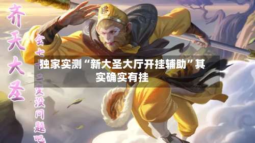 独家实测“新大圣大厅开挂辅助”其实确实有挂-第3张图片