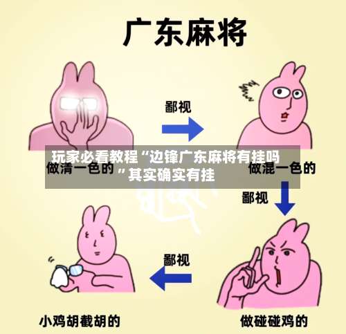 玩家必看教程“边锋广东麻将有挂吗”其实确实有挂-第2张图片