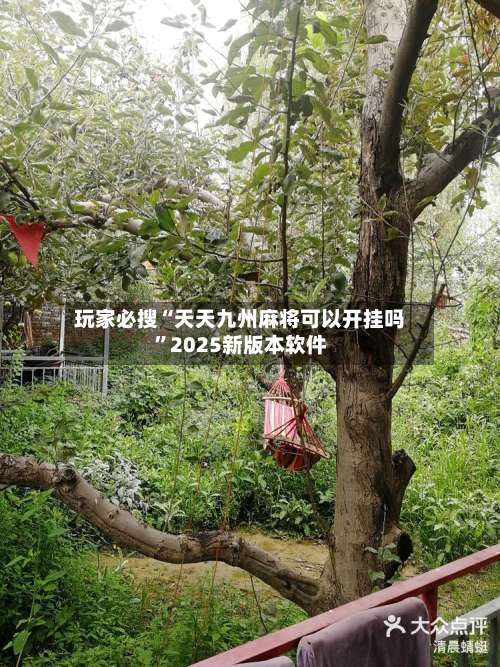 玩家必搜“天天九州麻将可以开挂吗”2025新版本软件-第2张图片