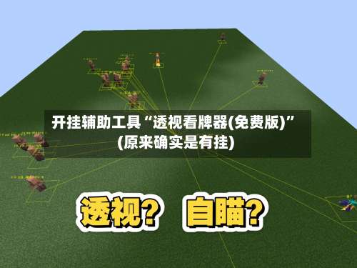 开挂辅助工具“透视看牌器(免费版)”(原来确实是有挂)-第3张图片