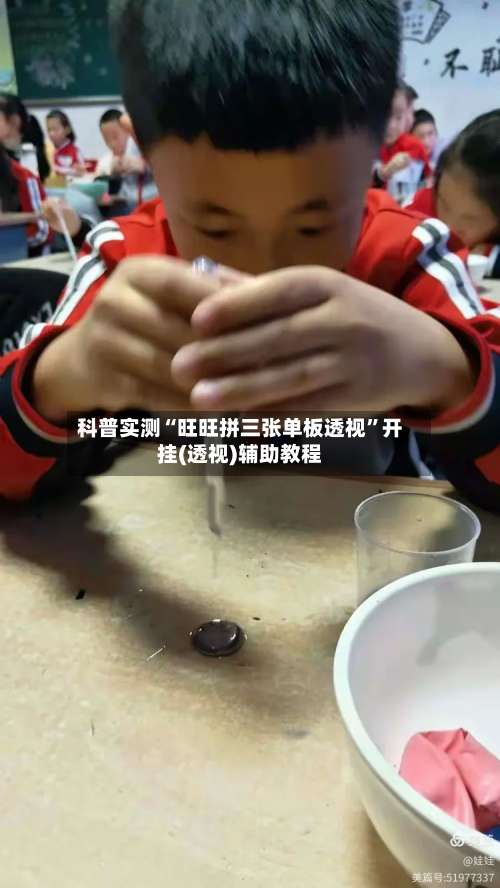 科普实测“旺旺拼三张单板透视”开挂(透视)辅助教程-第2张图片