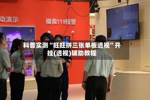 科普实测“旺旺拼三张单板透视	”开挂(透视)辅助教程-第1张图片