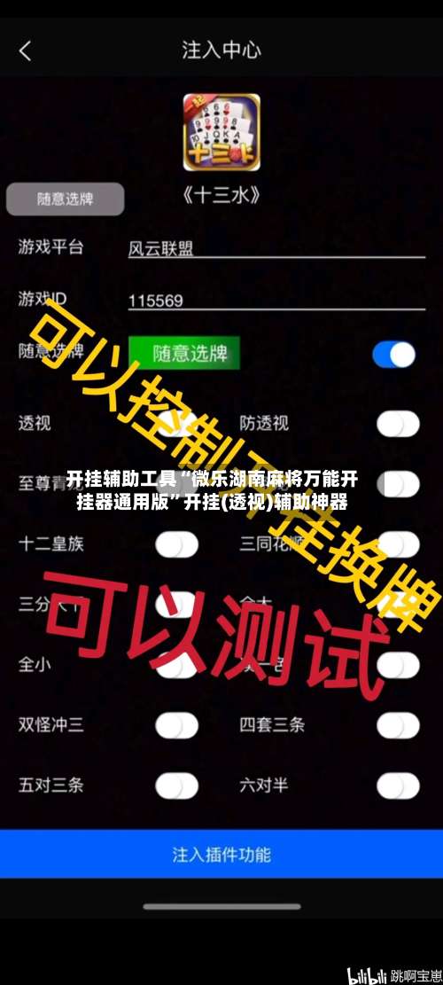 开挂辅助工具“微乐湖南麻将万能开挂器通用版”开挂(透视)辅助神器-第1张图片