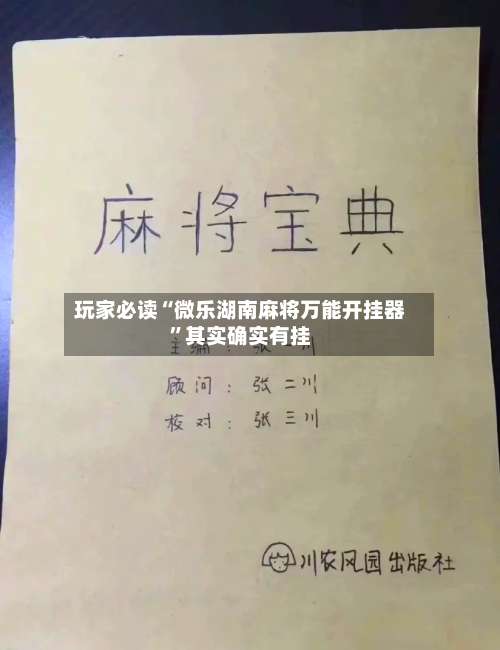 玩家必读“微乐湖南麻将万能开挂器”其实确实有挂-第3张图片