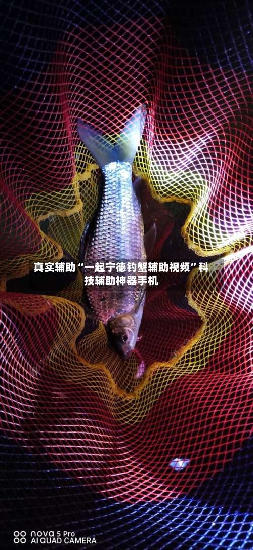 真实辅助“一起宁德钓蟹辅助视频”科技辅助神器手机-第3张图片