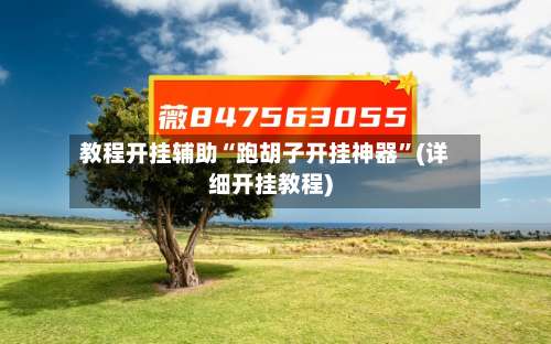 教程开挂辅助“跑胡子开挂神器	”(详细开挂教程)-第1张图片