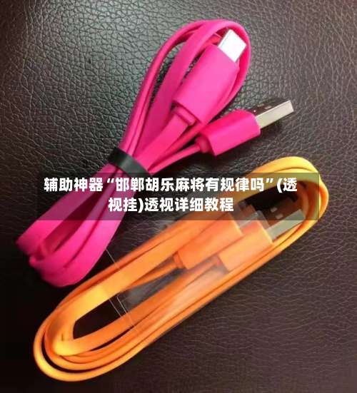 辅助神器“邯郸胡乐麻将有规律吗”(透视挂)透视详细教程-第2张图片