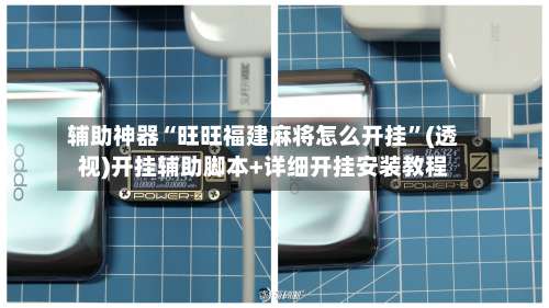 辅助神器“旺旺福建麻将怎么开挂	”(透视)开挂辅助脚本+详细开挂安装教程-第2张图片