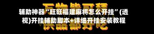 辅助神器“旺旺福建麻将怎么开挂”(透视)开挂辅助脚本+详细开挂安装教程-第3张图片