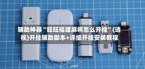 辅助神器“旺旺福建麻将怎么开挂”(透视)开挂辅助脚本+详细开挂安装教程-第1张图片