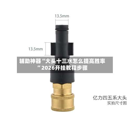 辅助神器“大头十三水怎么提高胜率	”2026开挂教程步骤-第1张图片