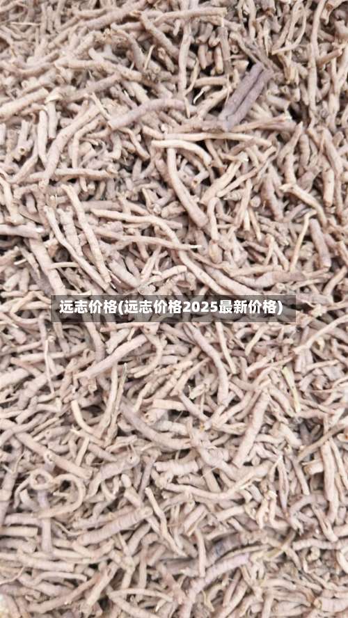 远志价格(远志价格2025最新价格)-第1张图片