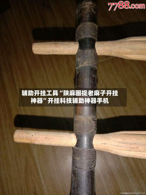 辅助开挂工具“陕麻圈捉老麻子开挂神器”开挂科技辅助神器手机-第2张图片