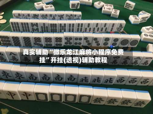 真实辅助“微乐龙江麻将小程序免费挂”开挂(透视)辅助教程-第1张图片