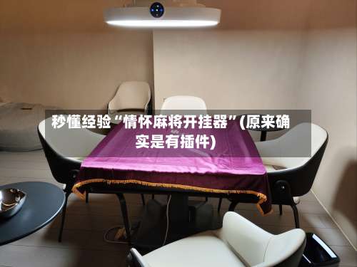 秒懂经验“情怀麻将开挂器”(原来确实是有插件)-第1张图片