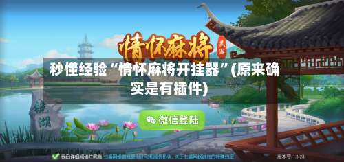 秒懂经验“情怀麻将开挂器	”(原来确实是有插件)-第2张图片