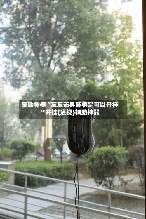 辅助神器“友友沛县麻将是可以开挂”开挂(透视)辅助神器-第2张图片