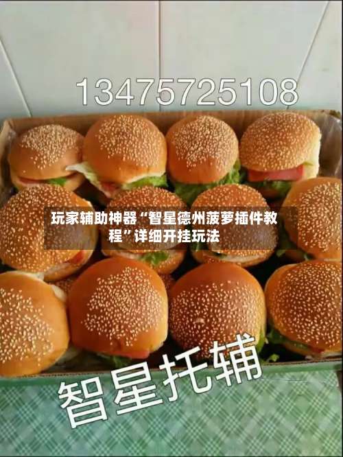 玩家辅助神器“智星德州菠萝插件教程	”详细开挂玩法-第2张图片