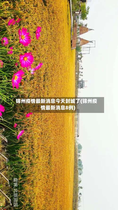 锦州疫情最新消息今天封城了(锦州疫情最新消息8例)-第1张图片