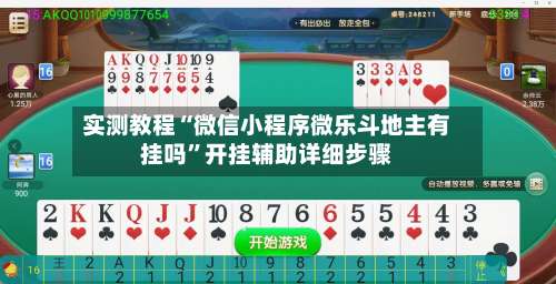实测教程“微信小程序微乐斗地主有挂吗”开挂辅助详细步骤-第3张图片