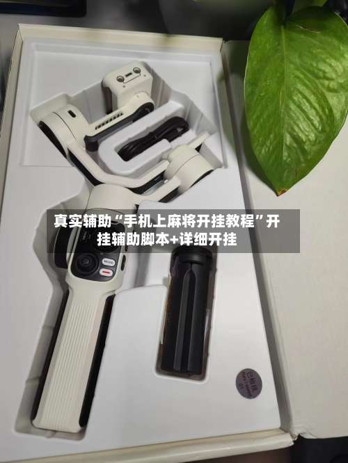 真实辅助“手机上麻将开挂教程	”开挂辅助脚本+详细开挂-第2张图片