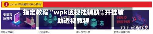 指定教程“wpk透视挂辅助”开挂辅助透视教程-第2张图片