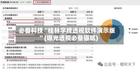 必备科技“桂林字牌透视软件演示版”(曝光透视必备猫腻)-第2张图片