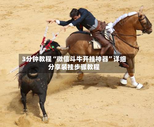 3分钟教程“微信斗牛开挂神器”详细分享装挂步骤教程-第1张图片