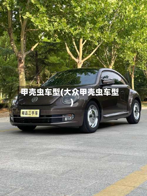 甲壳虫车型(大众甲壳虫车型)-第1张图片