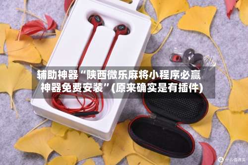 辅助神器“陕西微乐麻将小程序必赢神器免费安装”(原来确实是有插件)-第3张图片