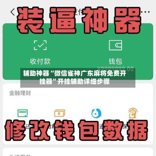 辅助神器“微信雀神广东麻将免费开挂器”开挂辅助详细步骤-第2张图片