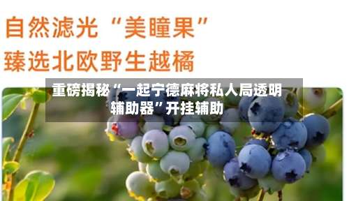 重磅揭秘“一起宁德麻将私人局透明辅助器”开挂辅助-第3张图片