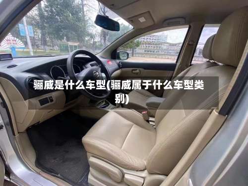 骊威是什么车型(骊威属于什么车型类别)-第2张图片