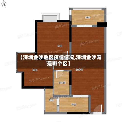 【深圳金沙地区疫情情况,深圳金沙湾是哪个区】-第2张图片