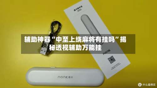 辅助神器“中至上绕麻将有挂吗”揭秘透视辅助万能挂-第3张图片