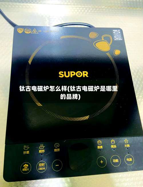 钛古电磁炉怎么样(钛古电磁炉是哪里的品牌)-第1张图片