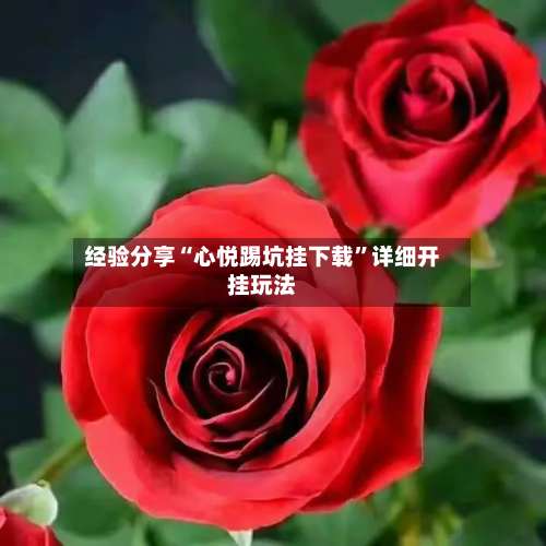 经验分享“心悦踢坑挂下载”详细开挂玩法-第3张图片