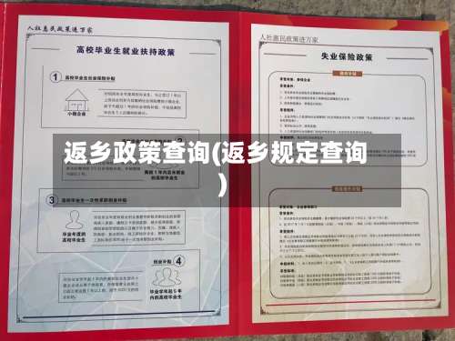 返乡政策查询(返乡规定查询)-第3张图片