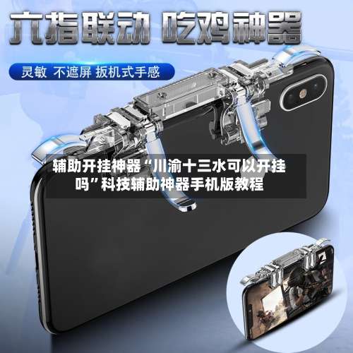辅助开挂神器“川渝十三水可以开挂吗”科技辅助神器手机版教程-第2张图片