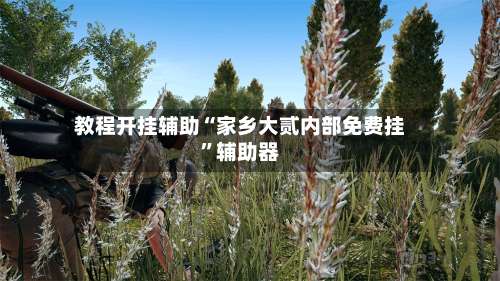 教程开挂辅助“家乡大贰内部免费挂”辅助器-第3张图片