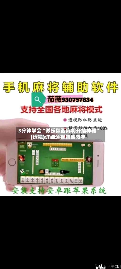 3分钟学会“微乐陕西麻将开挂神器	”(透视)详细透视辅助教学-第2张图片