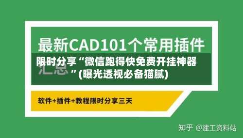 限时分享“微信跑得快免费开挂神器	”(曝光透视必备猫腻)-第2张图片
