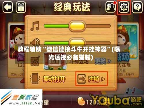 教程辅助“微信链接斗牛开挂神器”(曝光透视必备猫腻)-第3张图片