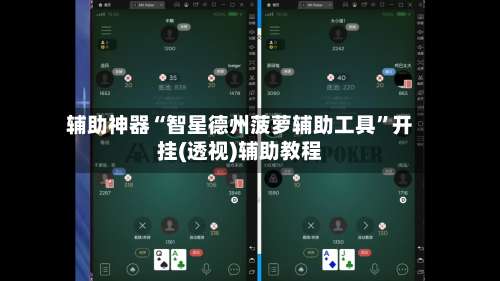 辅助神器“智星德州菠萝辅助工具	”开挂(透视)辅助教程-第1张图片